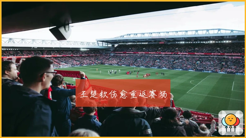 王楚钦伤愈重返赛场